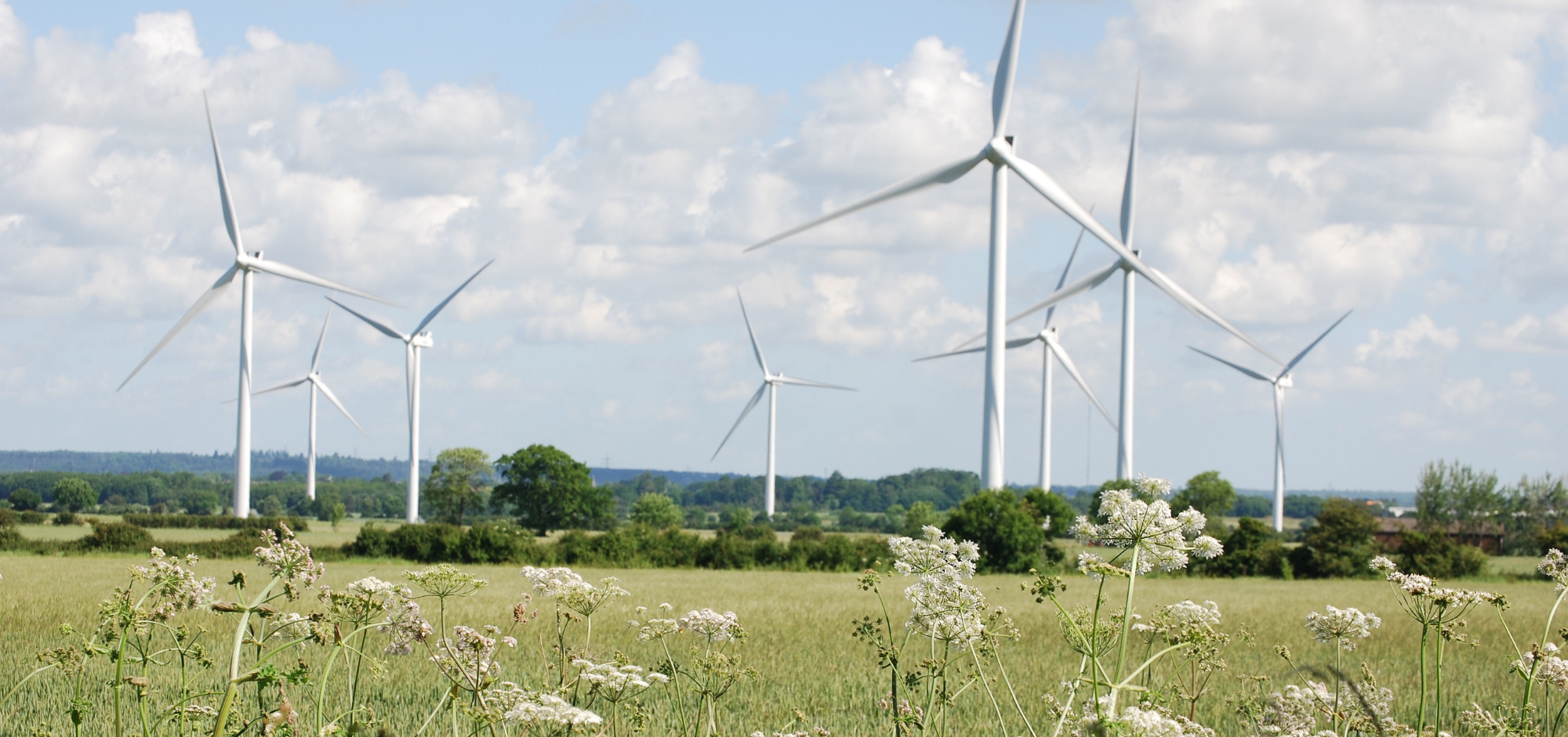 Wind Turbine